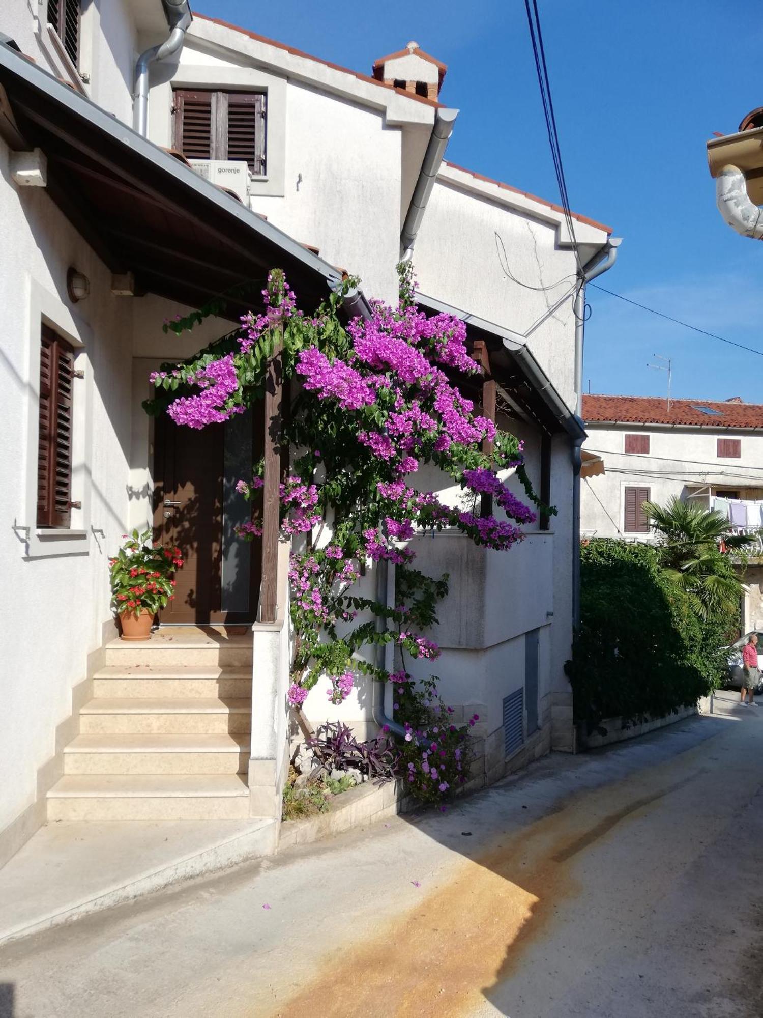 Apartments Renata - Brseč Buitenkant foto
